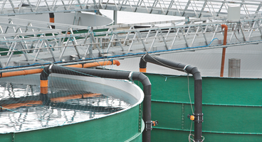 SOLVOX Oxystream is a new, highly energy-efficient oxygenation system for fish farming